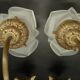 Pair of dragonfly wall sconces from the Art Nouveau period - bronze by Charles Ranc