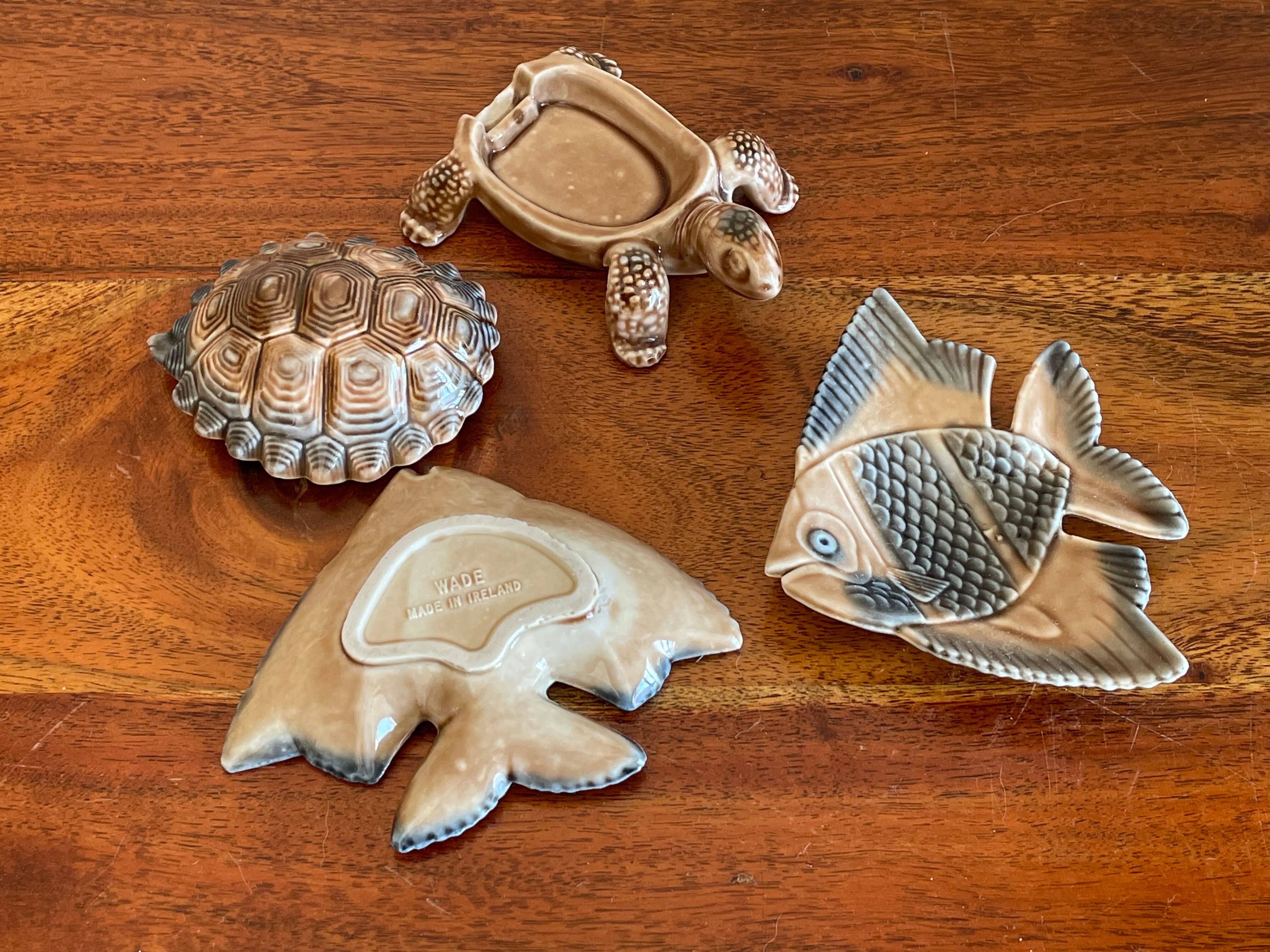 Empty fish pockets turtle Wade Ireland