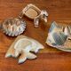 Vides poches poissons tortue Wade Ireland
