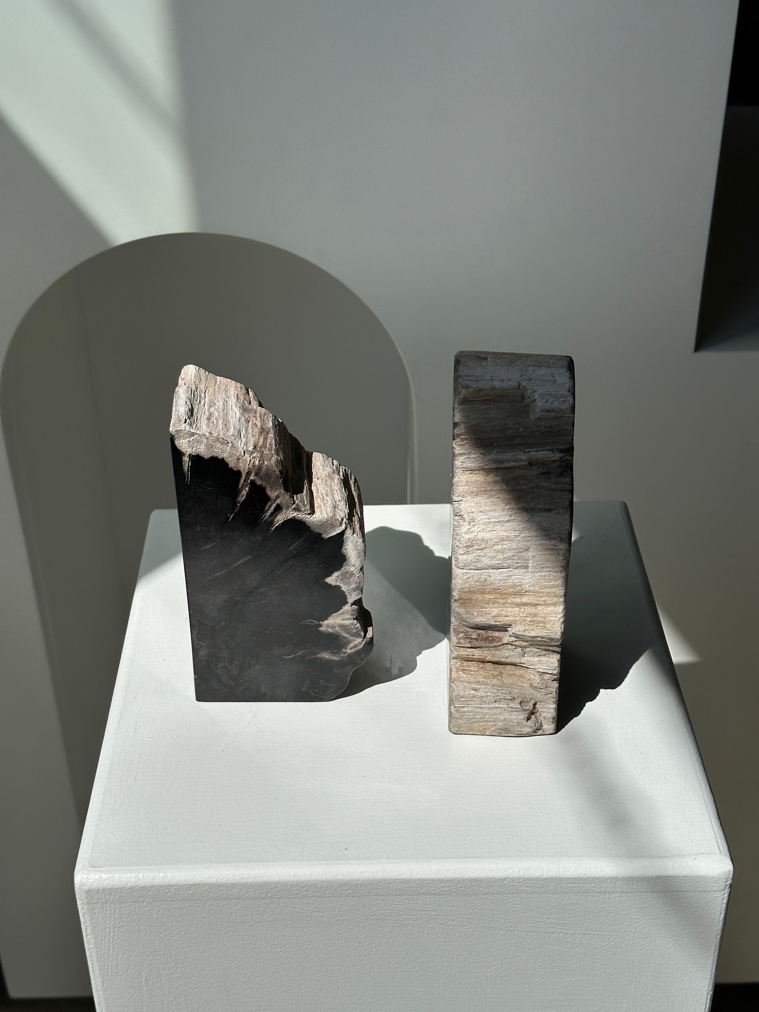 Black petrified wood bookend H17 L17 P6