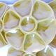 4 Gien oyster plates 2106171
