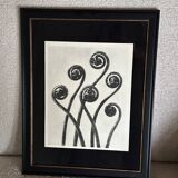 Héliogravure / Photogravure originale, encadrée -  Karl Blossfeldt - 1942