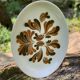 Long old earthenware dish K-G Lunéville Badonviller vintage