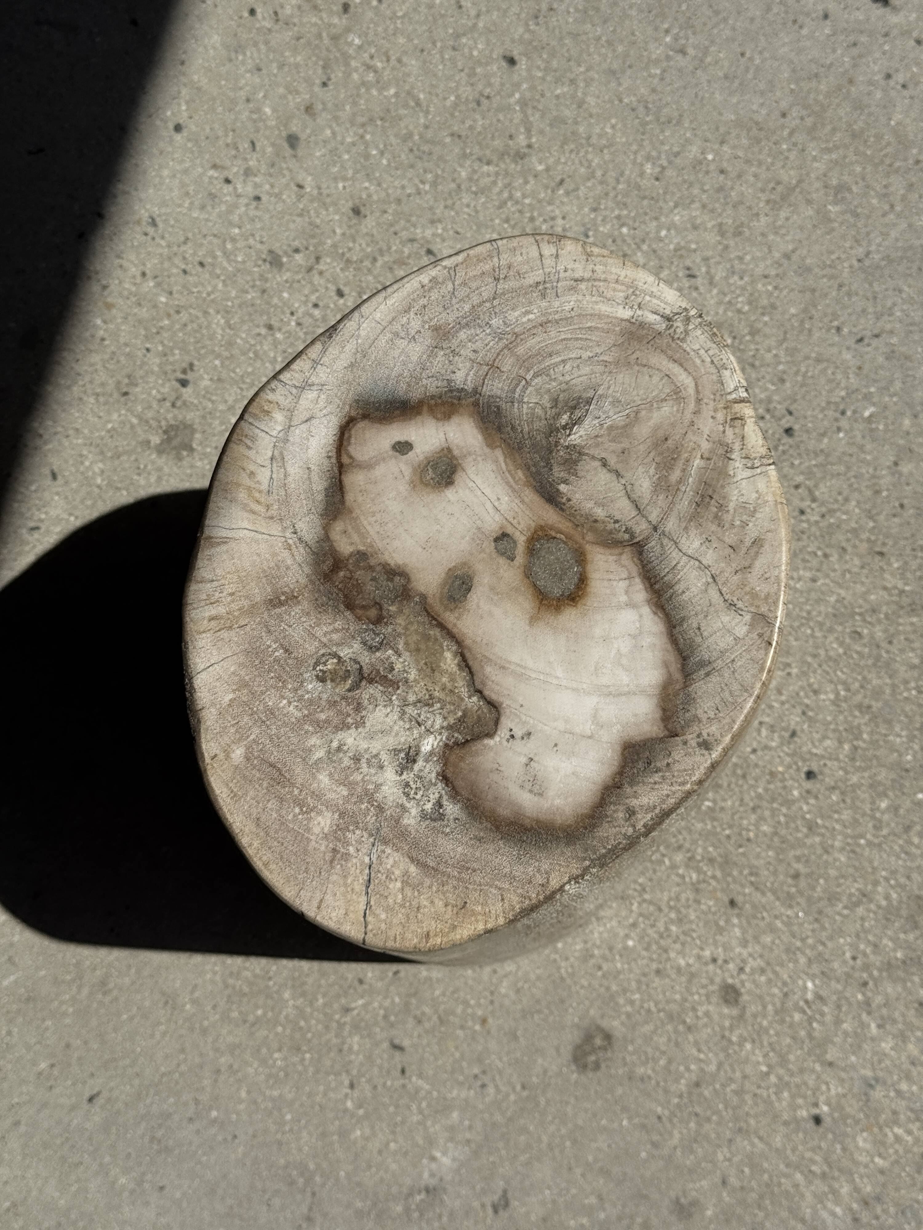 White oval petrified wood side table H38 D28 - 3335