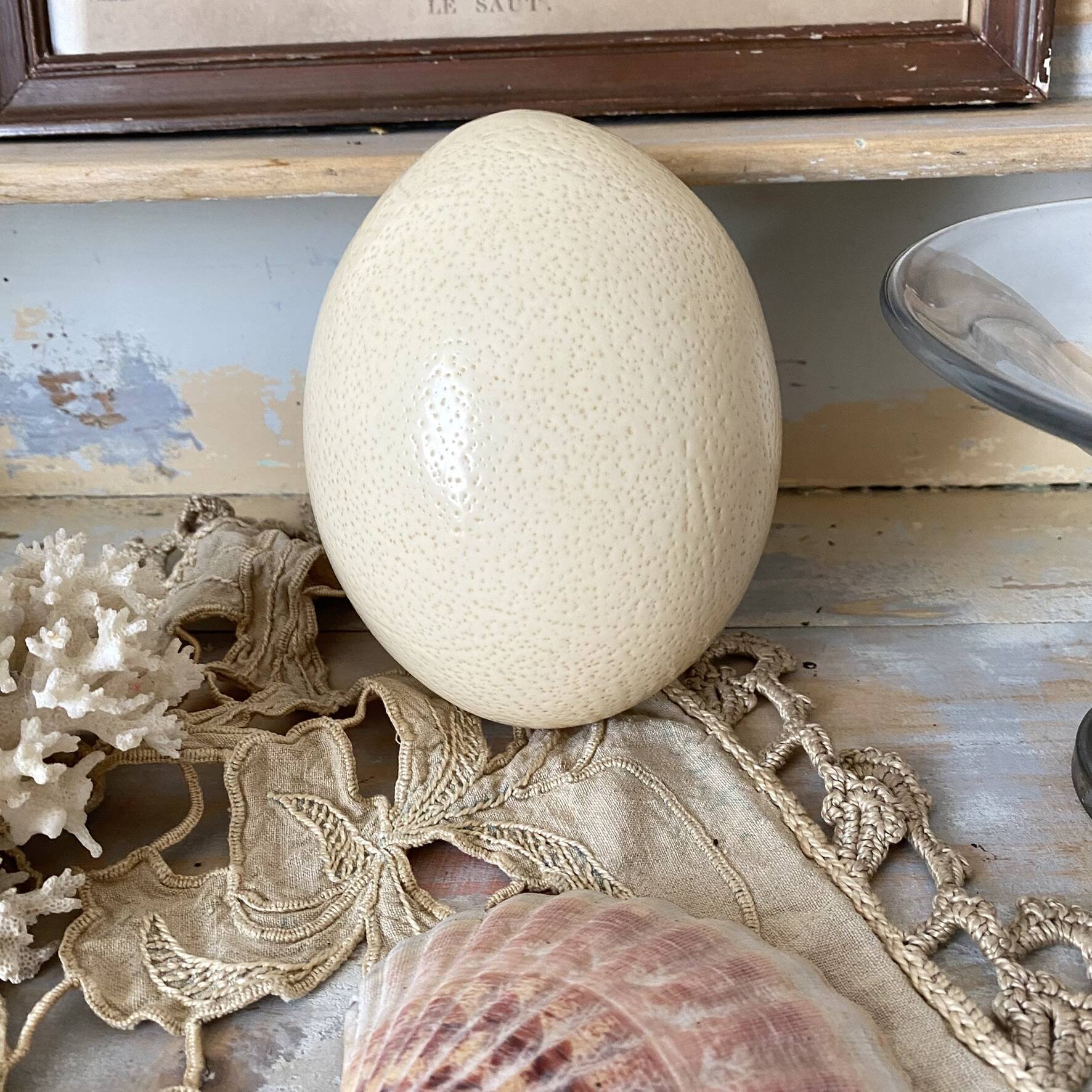 Ostrich egg curiosity cabinet
