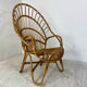 Fauteuil en rotin et bambou du milieu du siècle, années 1950