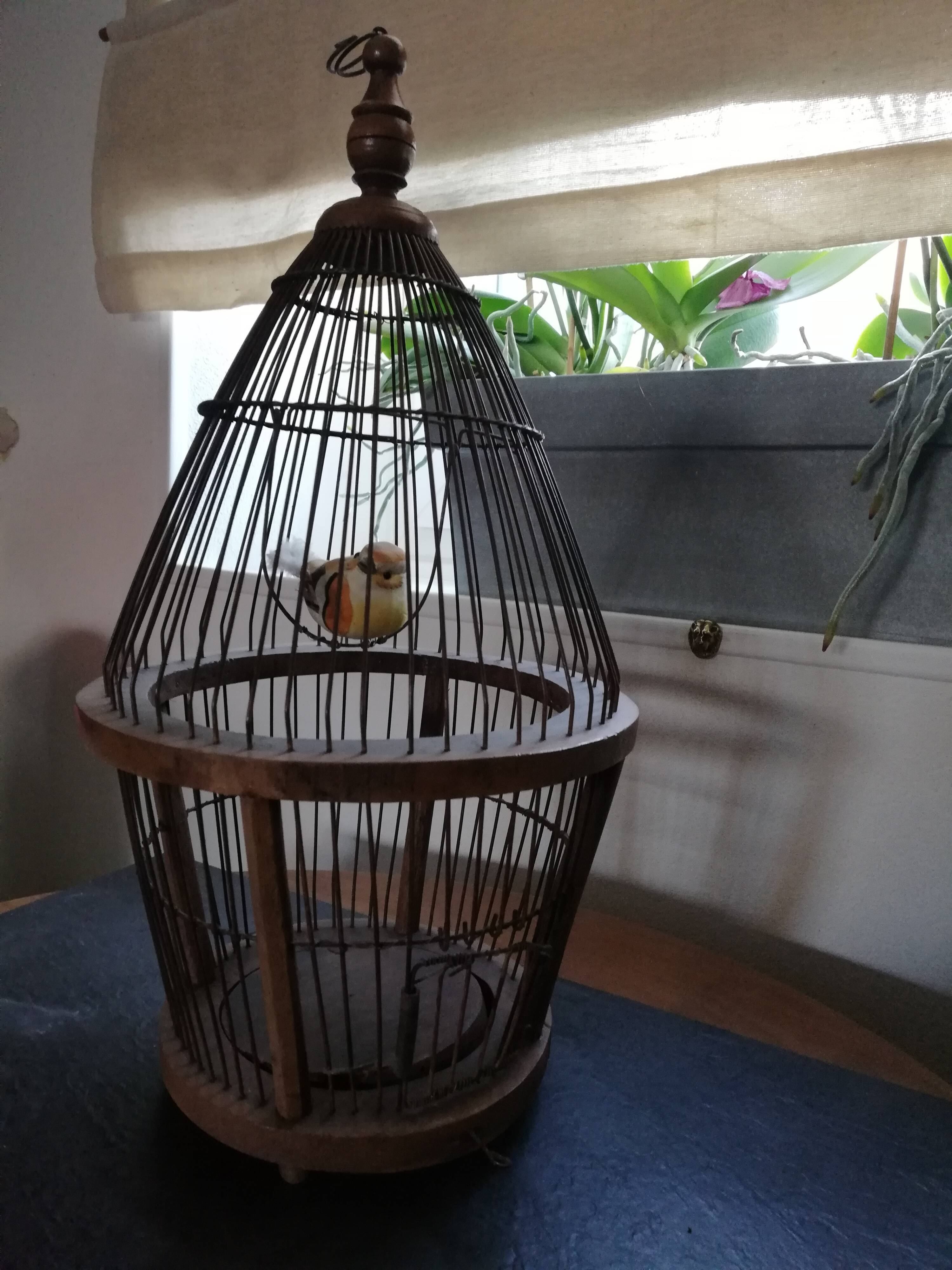Cage à oiseaux en noyer