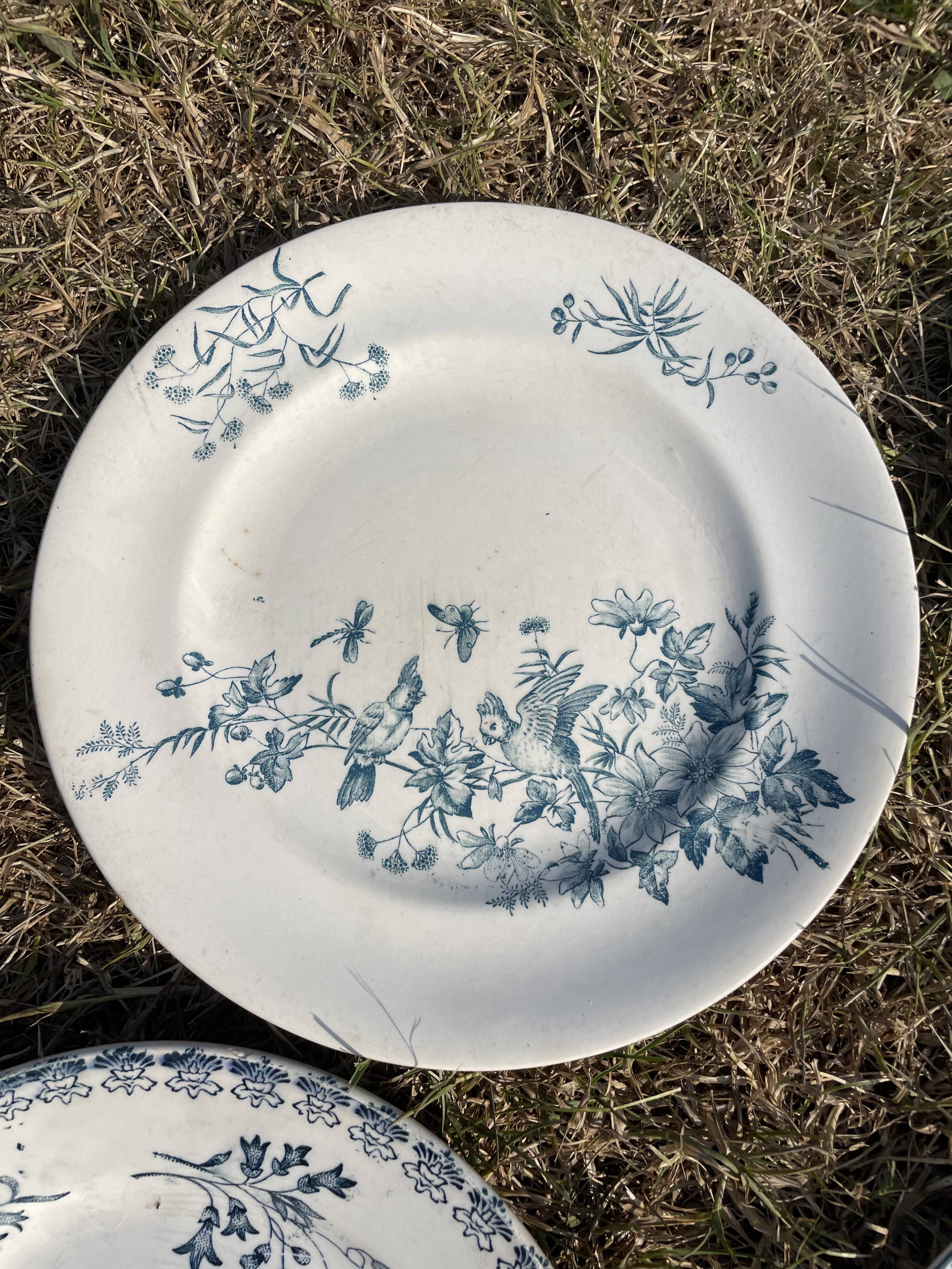 Set of 8 mismatched iron earth flat plates
