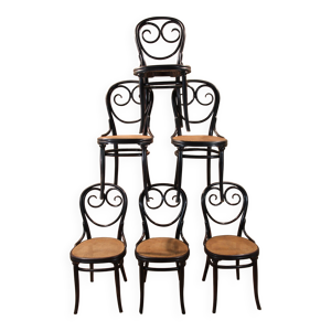 Série 6 chaises Thonet