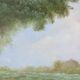 Landscape with sheep