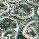 Set of 12 plates and an oyster dish or other in majolica.