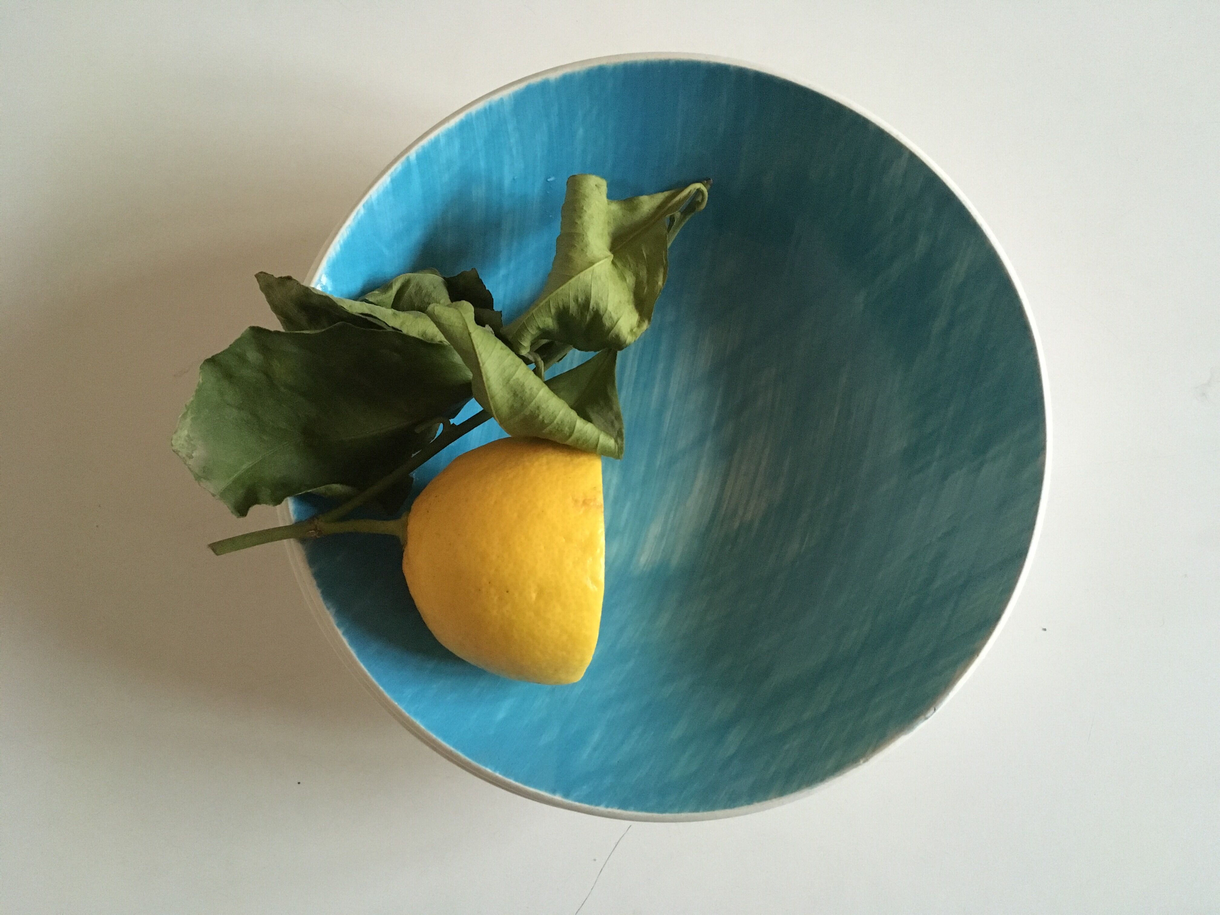 Soup plates calottes Mistral Salins 60