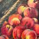 Still life - Basket of peaches and pitcher