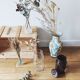 Glass vase