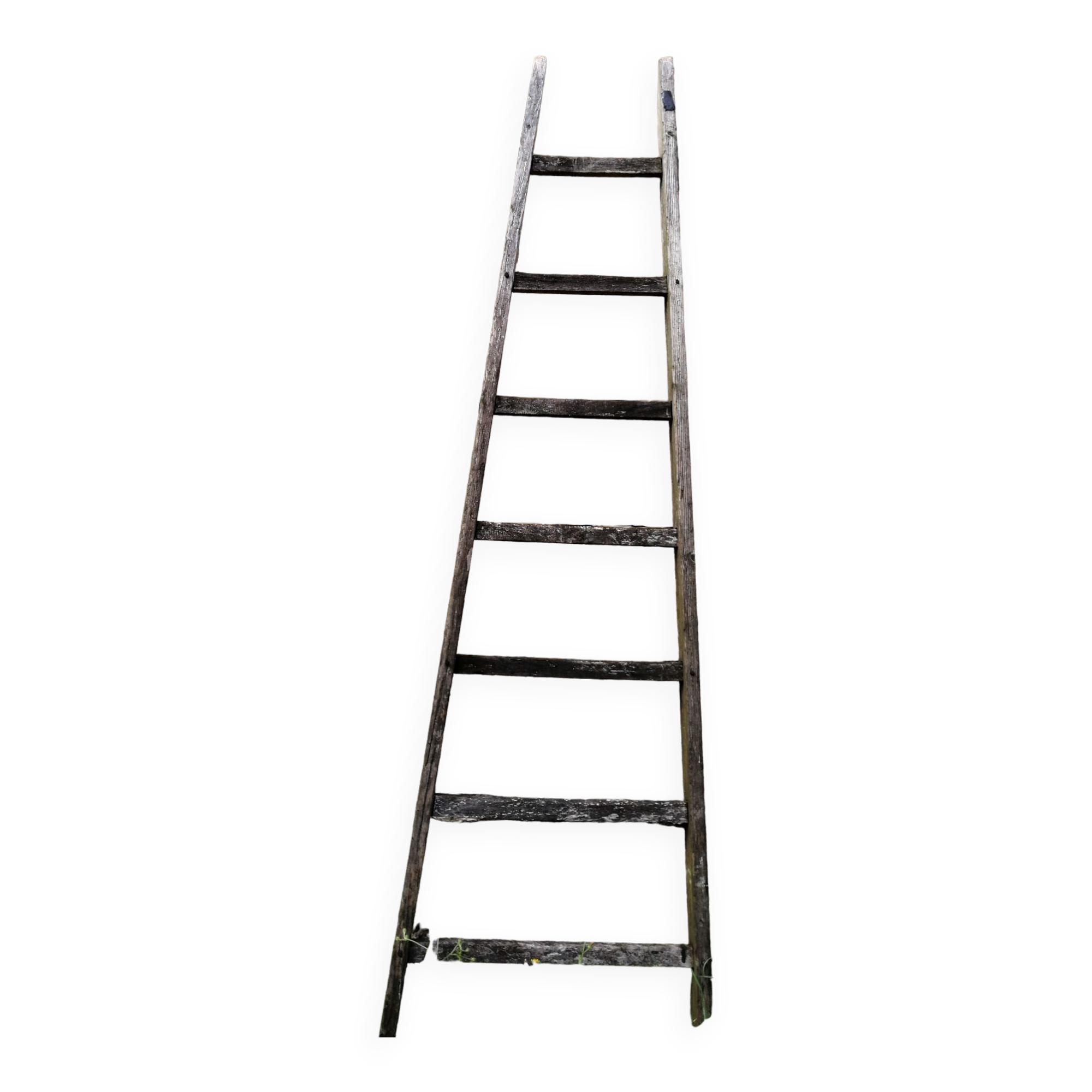 Wooden ladder