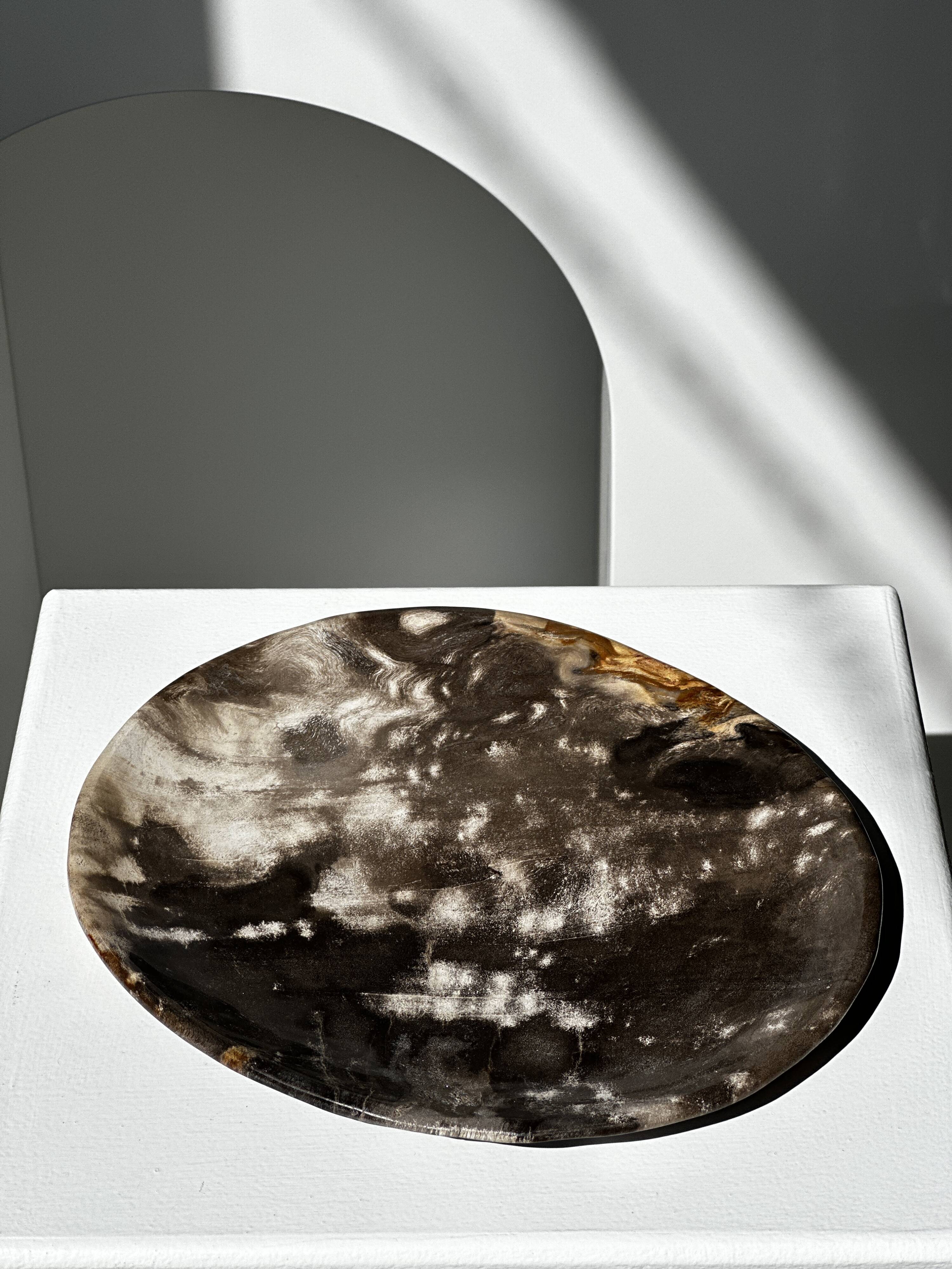 Medium petrified wood dish or pocket emptier, predominantly gray 1137