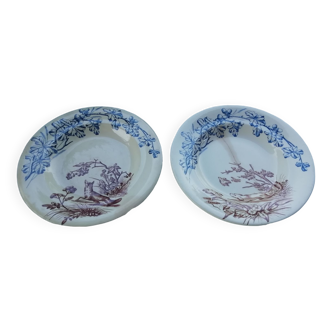 Pair of clairefontaine plates