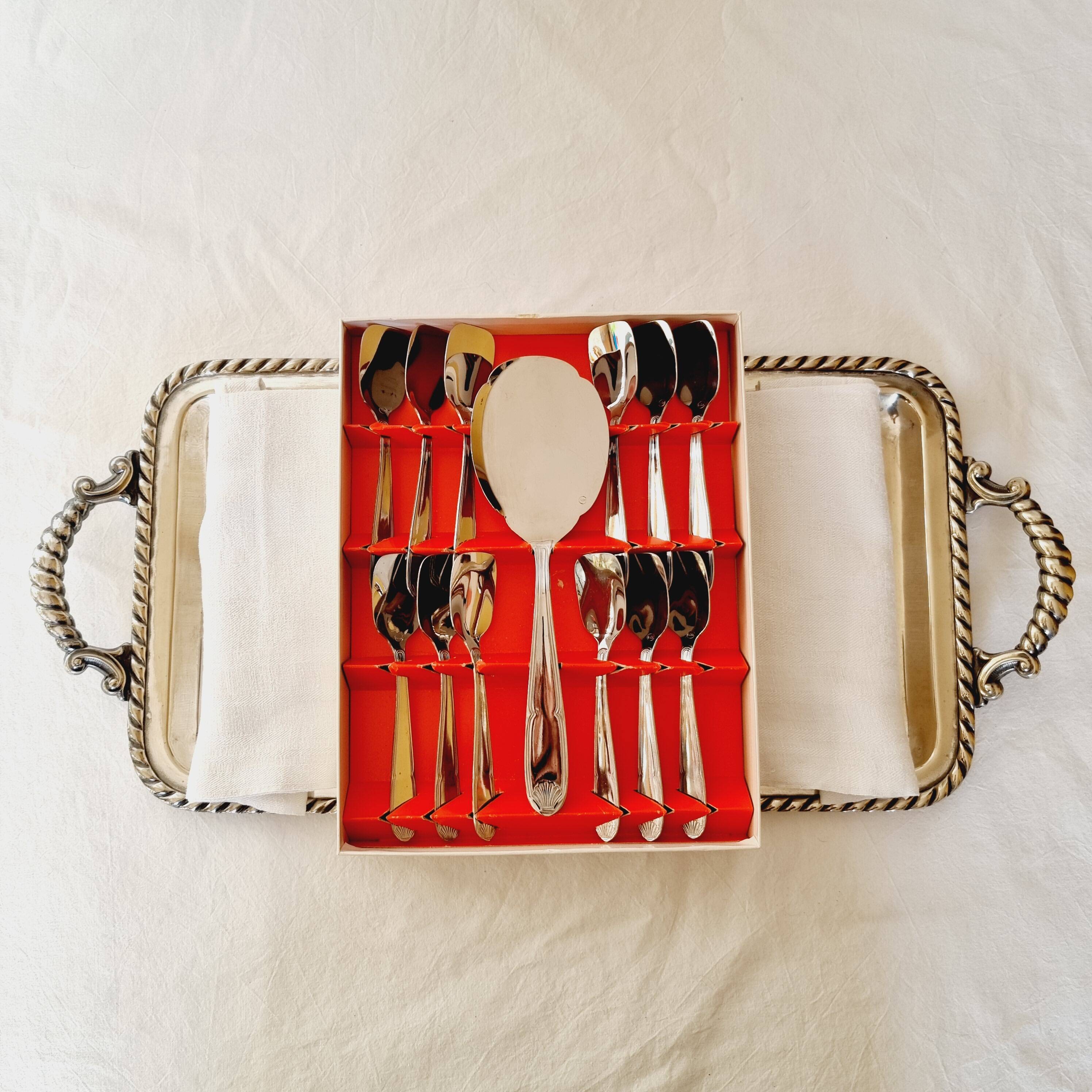 Box with 12 vintage spoons and spoon for serving ice cream in stainless steel
