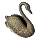 Swan