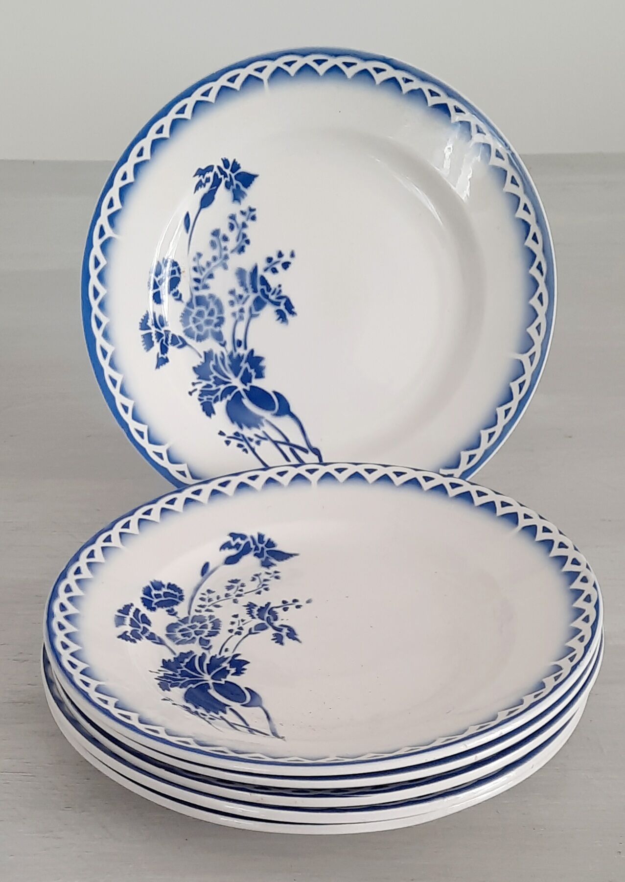6 plates old earthenware Digoin Sarreguemines model annick vintage