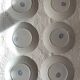 Flat plates and platter terre de fer sarreguemines uc flore model