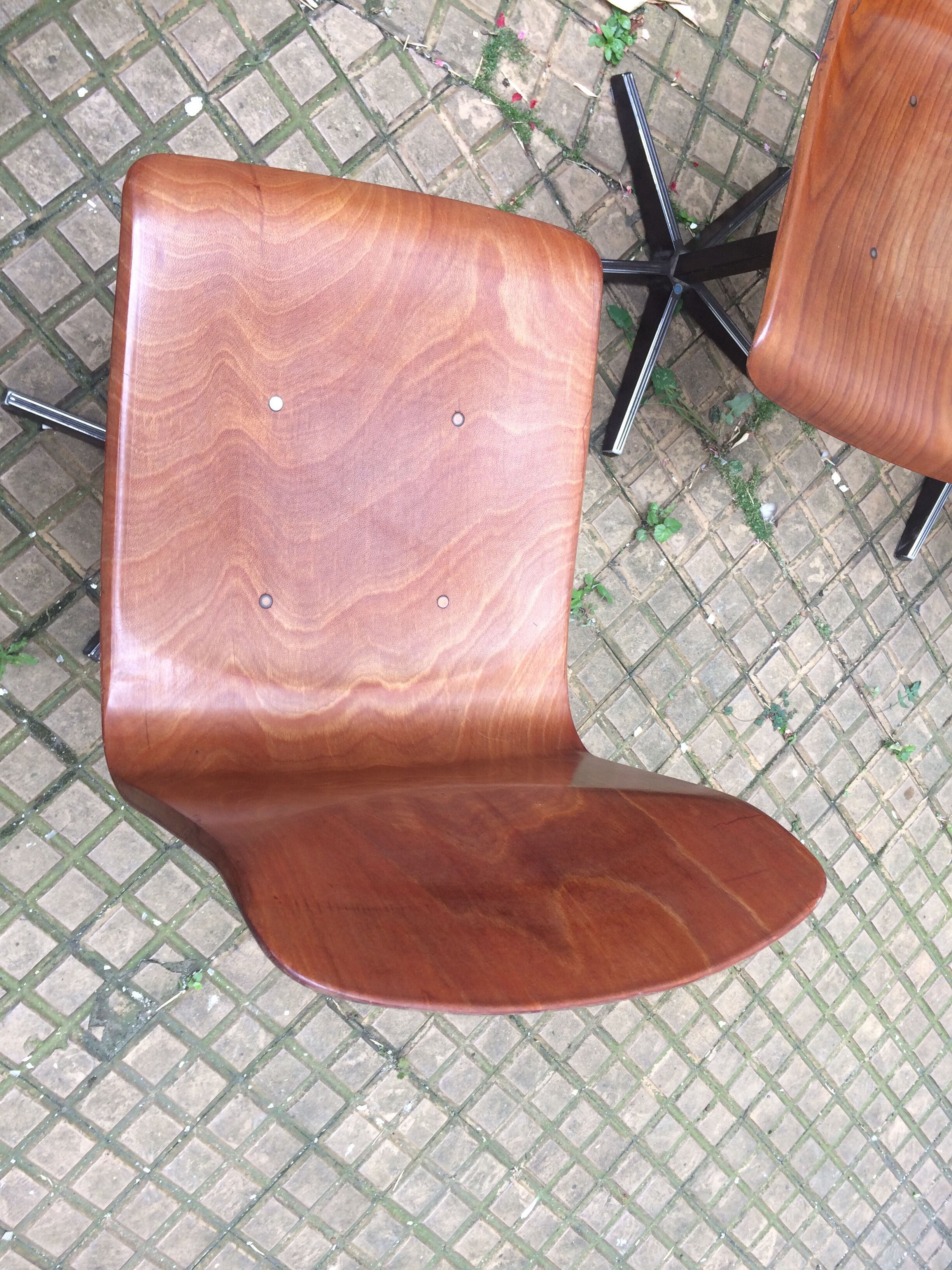 6 Pagholz workshop chairs