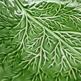 Cabbage bowl