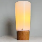 Model 115 Cylindrical Table Lamp By Uno & Östen Kristiansson For Luxus, Sweden, 1960S
