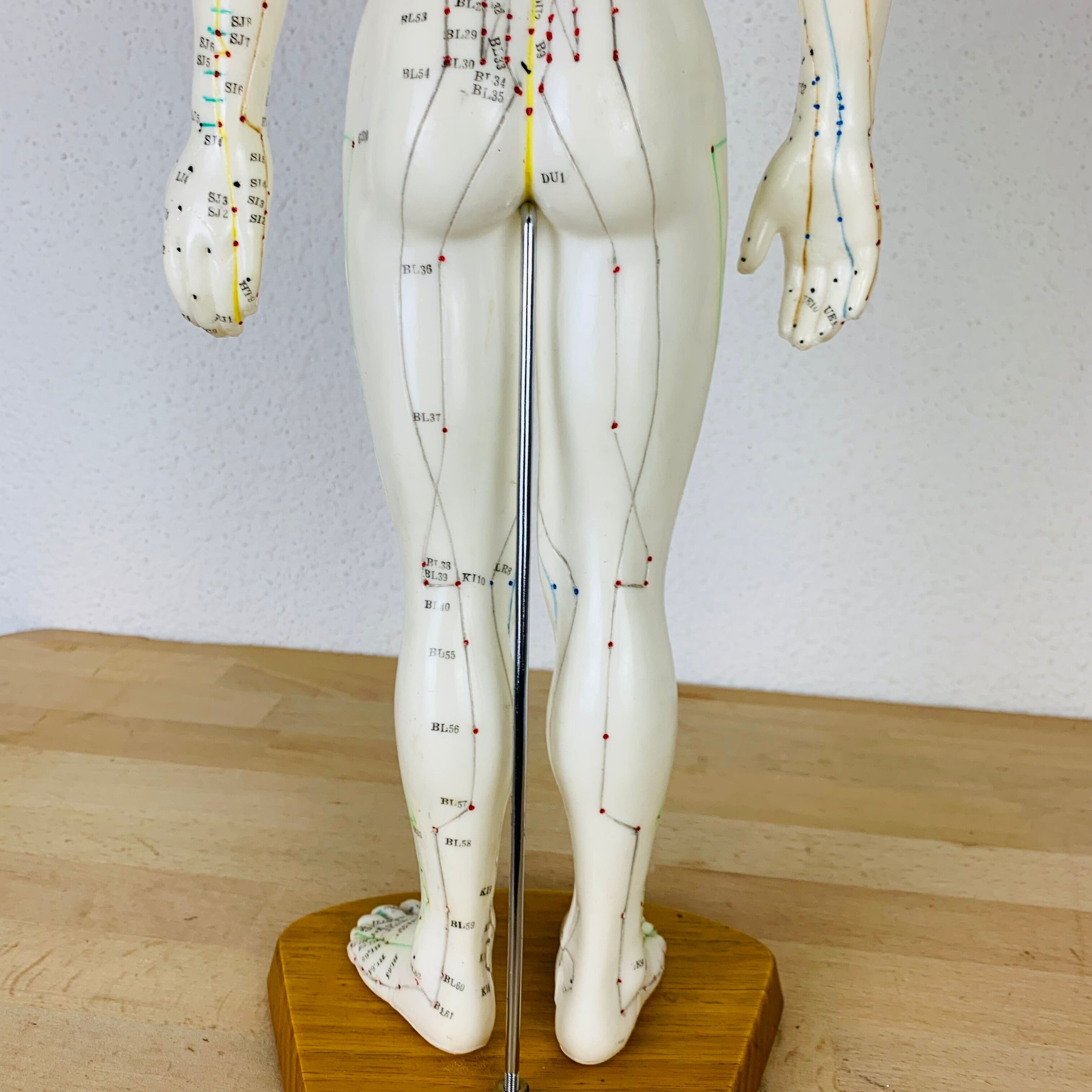 Mannequin d'acupuncture vintage cabinet de curiosité