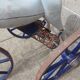 Napoleon III pedal tricycle horse