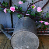 Zinc watering can