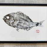 Framed art print, "Print of a sea bream"