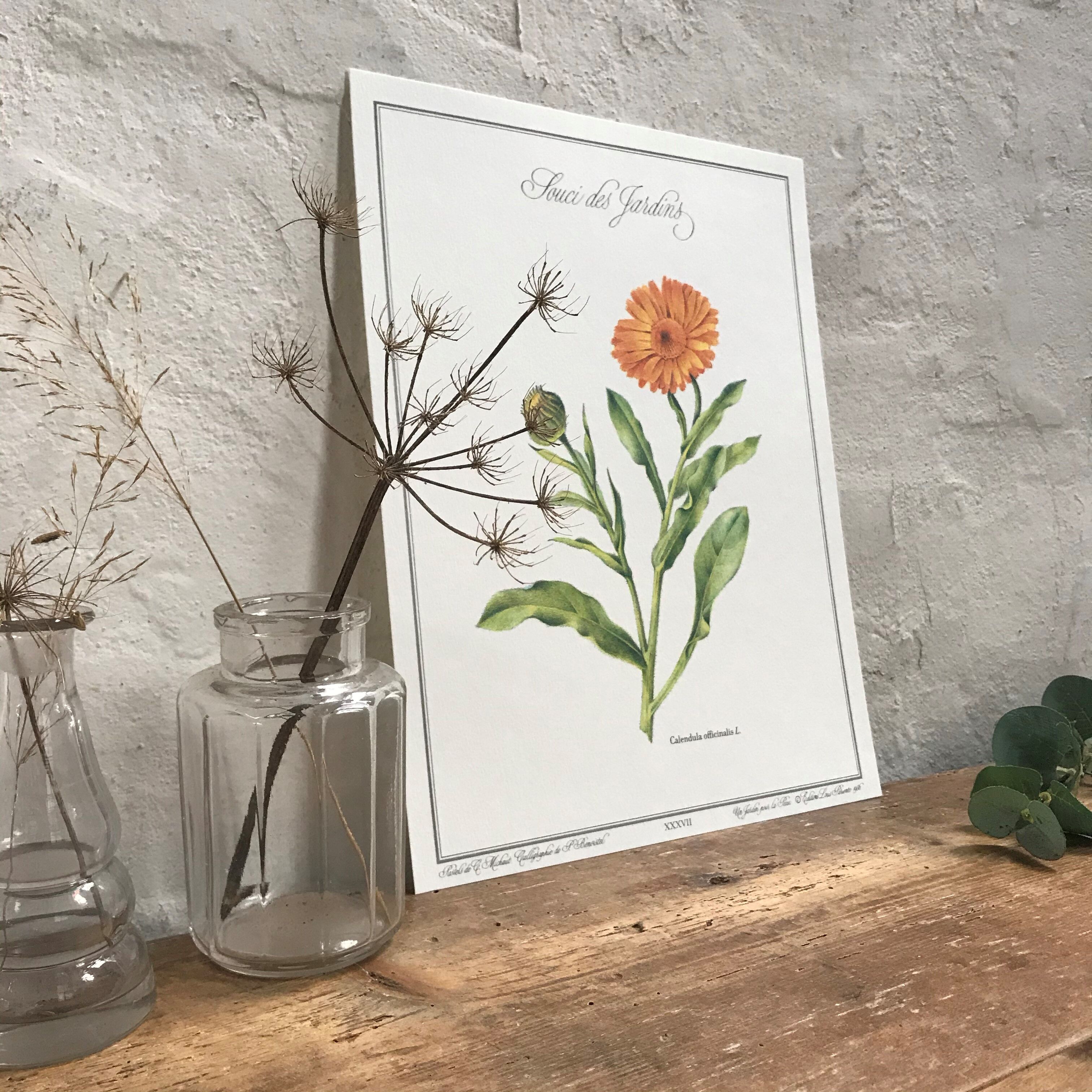 Botanical board the Garden Concern