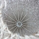 Abat-jour de suspension vintage Ø 27 cm en fil de fer