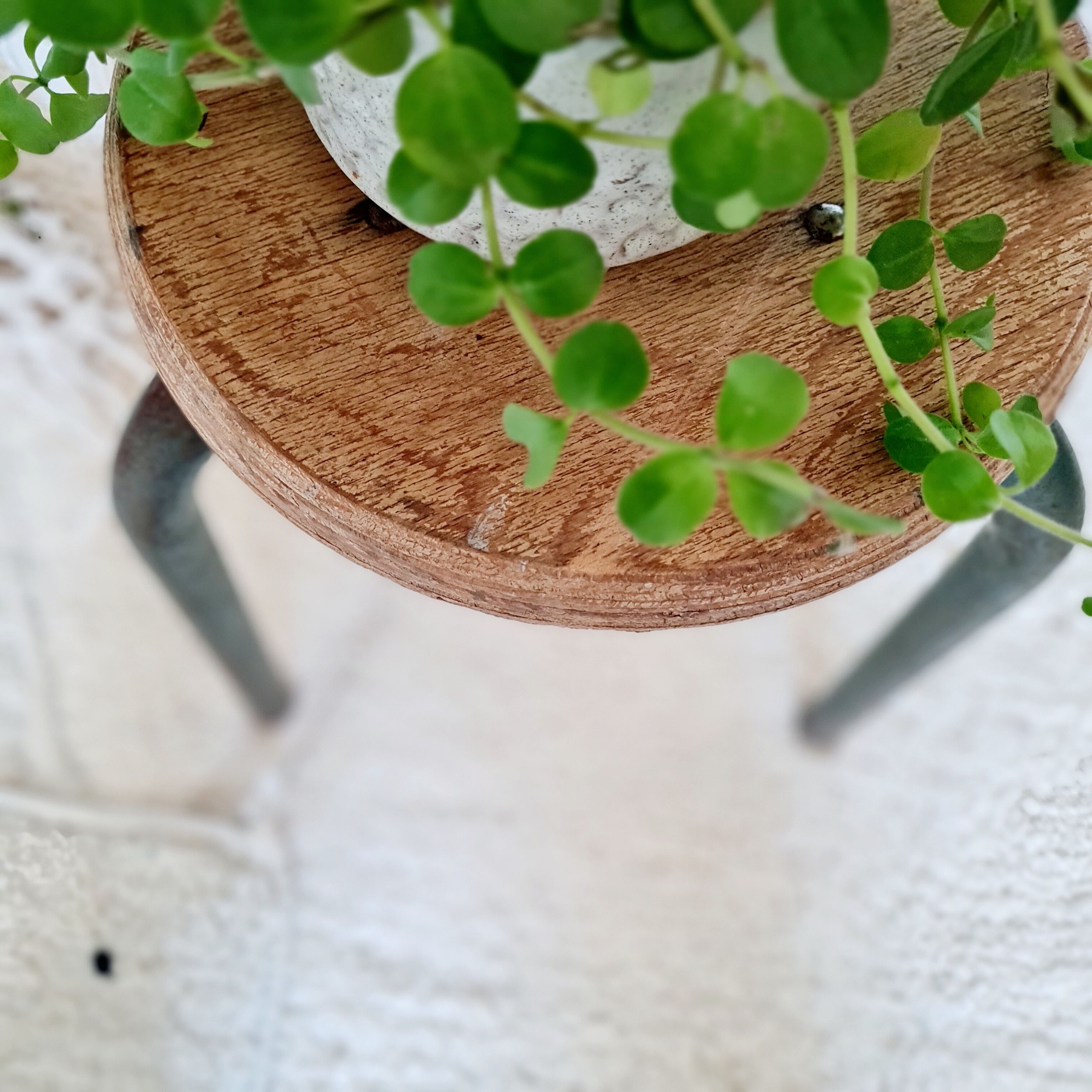 Wood and metal tripod stool