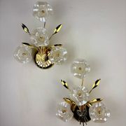 Pair of hibiscus floral sconces, frosted Murano glass, Italy, 1970s