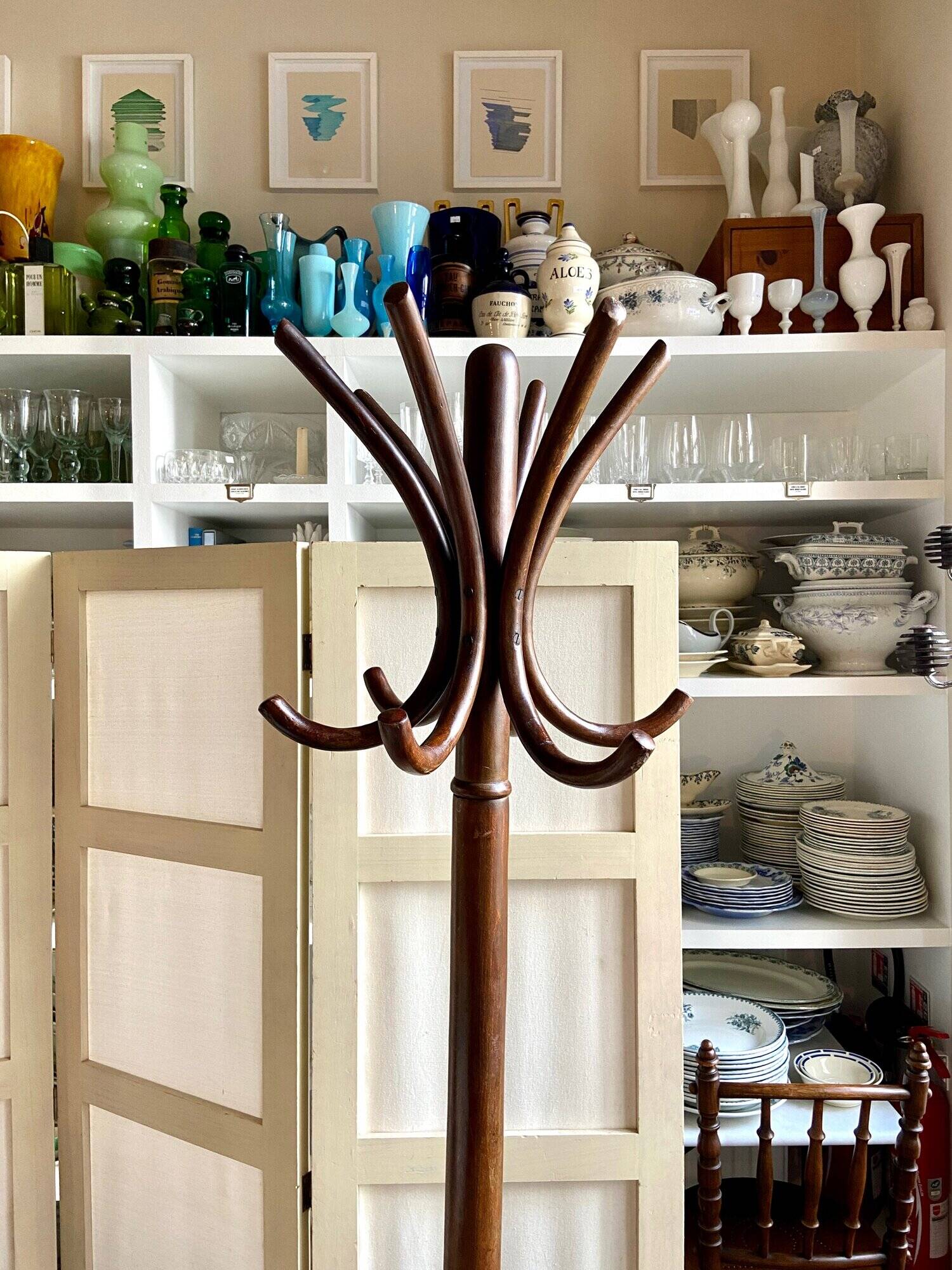 Parrot coat rack with 6 hooks in bent beech