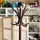 Parrot coat rack with 6 hooks in bent beech