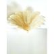 Venetian Amber ” Leaves Graniglia” Murano Glass Flush Mount