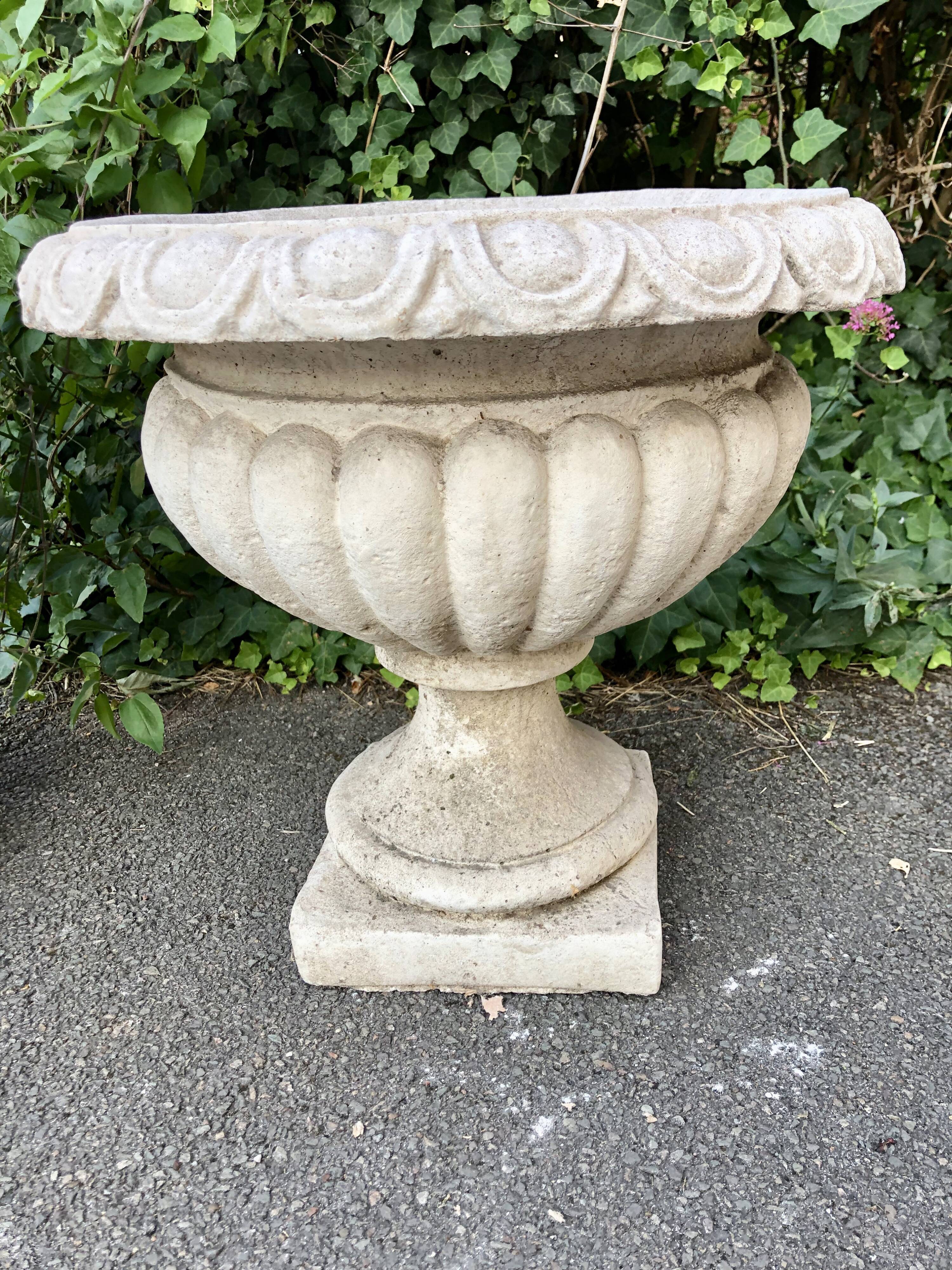 Pair of medicis and boxvales