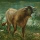 Huile sur Toile « Pâturages » de N. Okolowicz – Début XXe