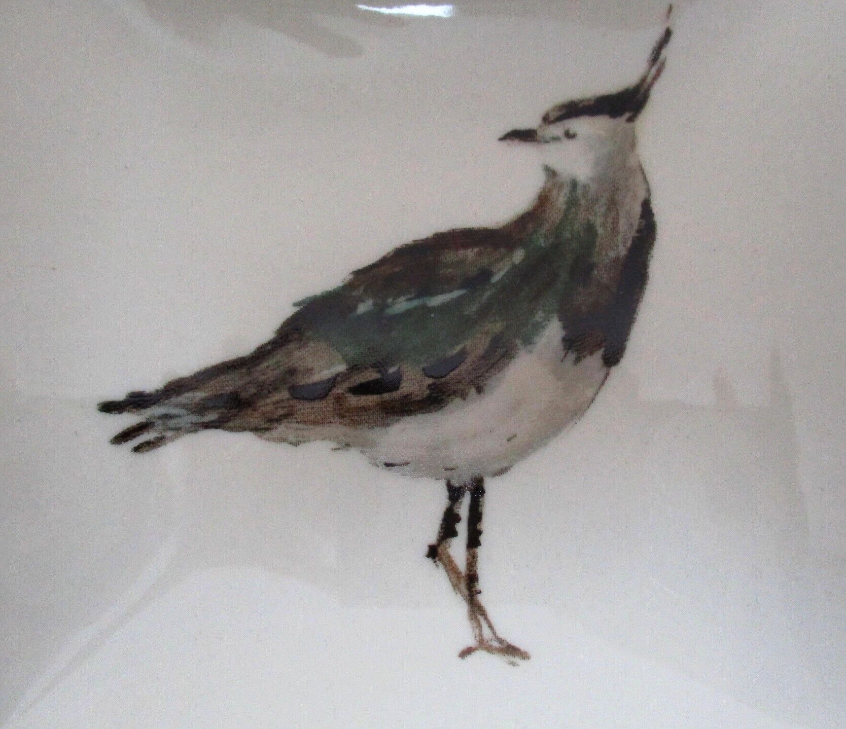 Empty pocket ascentielle drawing by d. belin