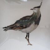 Empty pocket ascentielle drawing by d. belin