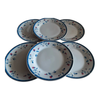 6 flat plates Chriss g collection