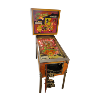 Flipper bally zip a doo 1970