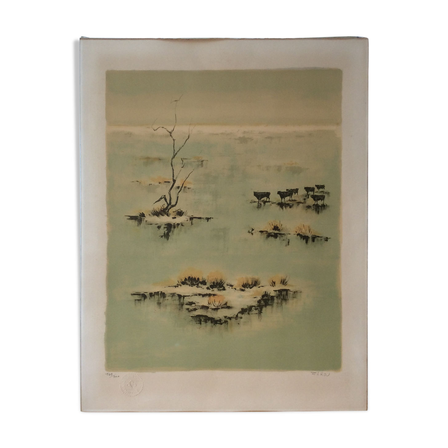 Camargue Landscape Illustration