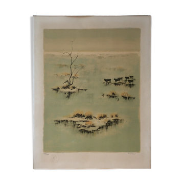 Camargue Landscape Illustration