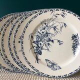 Set of 6 plates Sarreguemines Terre de Fer Model Carmen