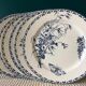 Set de 6 assiettes Sarreguemines Terre de Fer Modèle Carmen