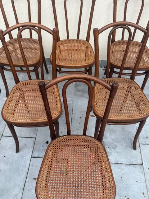 6 chaises thonet modèle 56 thonet